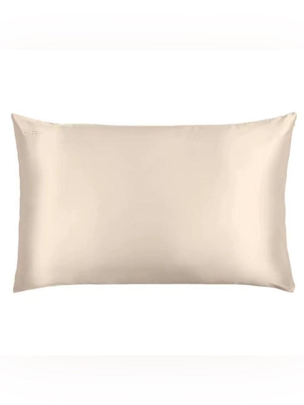 Blissy -  King 600 Thread Count Silk Pillowcase Beige New